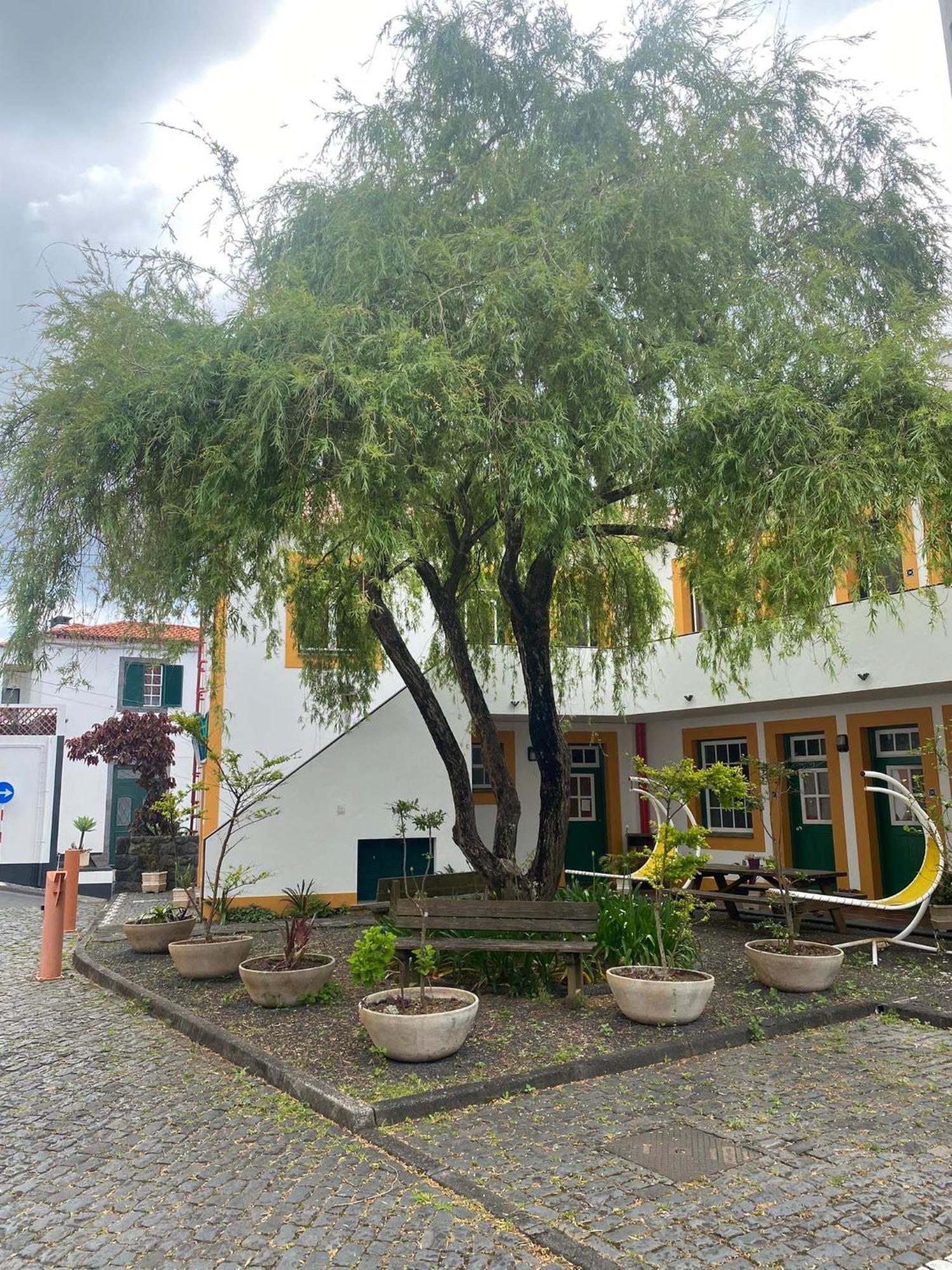 Hospedaria Verdemar Horta  Extérieur photo